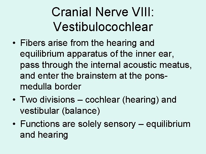 Cranial Nerve VIII: Vestibulocochlear • Fibers arise from the hearing and equilibrium apparatus of