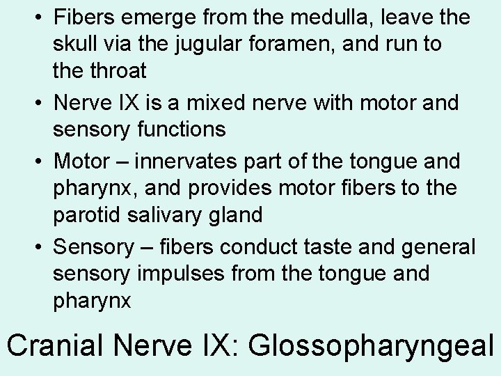  • Fibers emerge from the medulla, leave the skull via the jugular foramen,