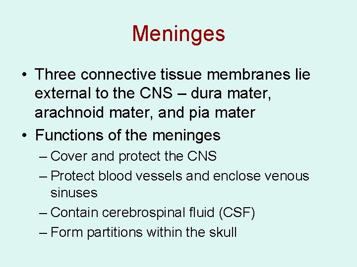 Meninges • Three connective tissue membranes lie external to the CNS – dura mater,