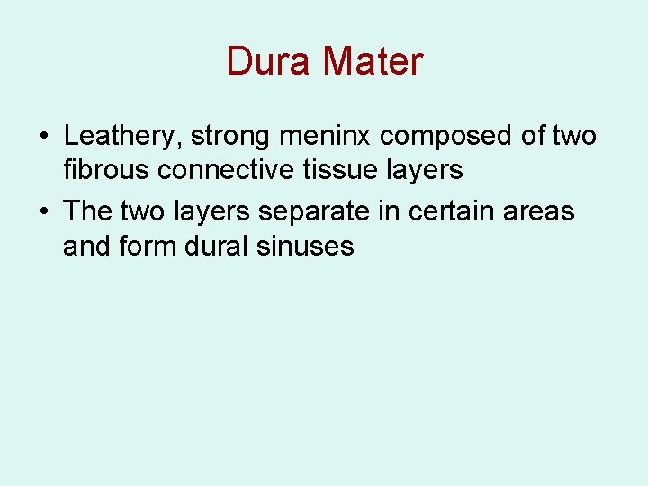 Dura Mater • Leathery, strong meninx composed of two fibrous connective tissue layers •