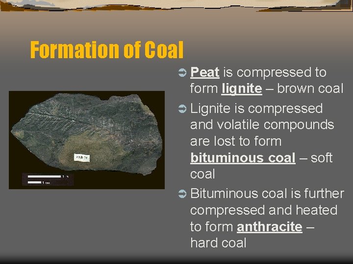 Formation of Coal Ü Peat is compressed to form lignite – brown coal Ü