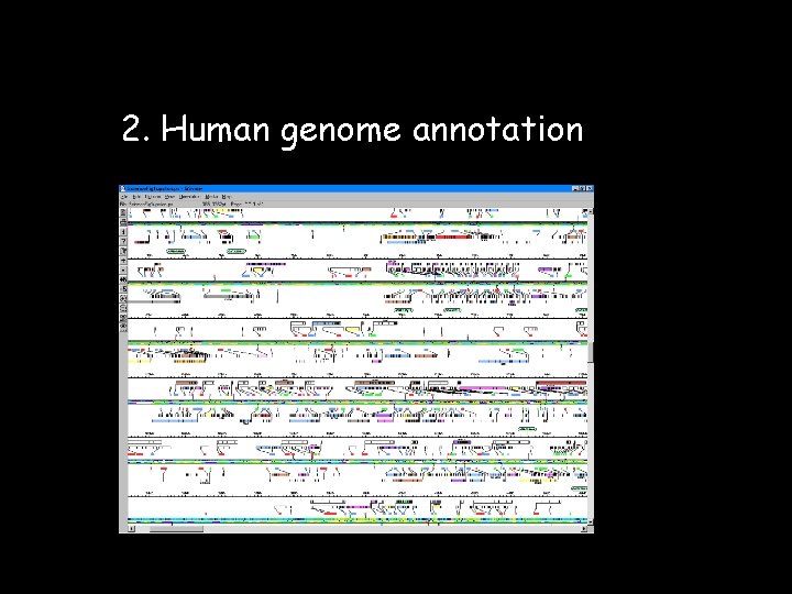 2. Human genome annotation 