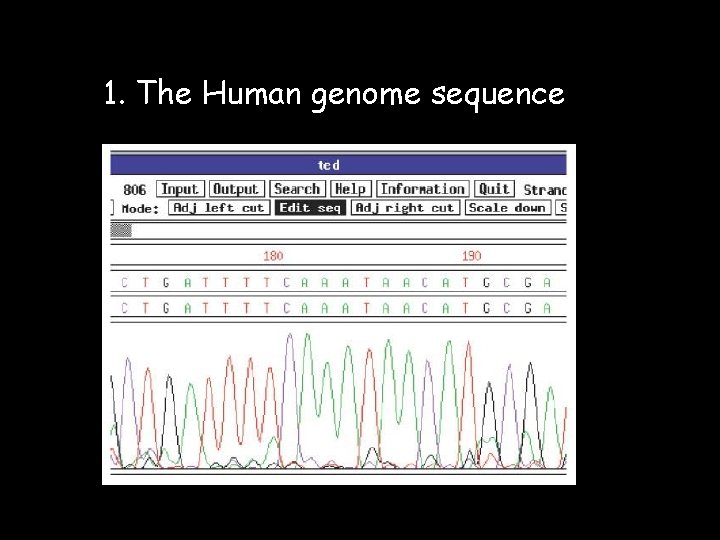 1. The Human genome sequence 