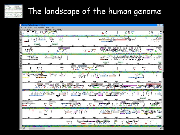The landscape of the human genome 