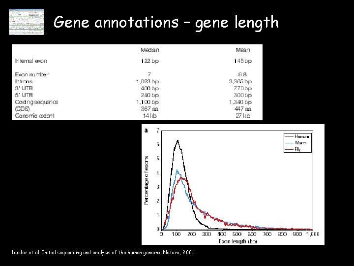 Gene annotations – gene length Lander et al. Initial sequencing and analysis of the