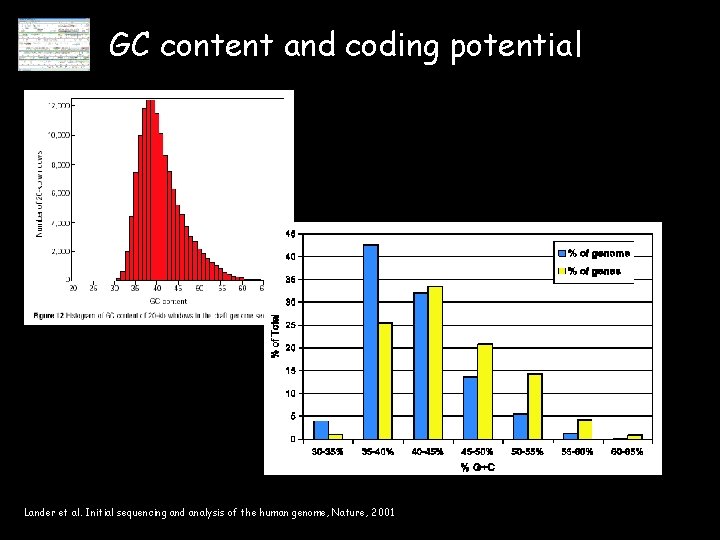 GC content and coding potential Lander et al. Initial sequencing and analysis of the