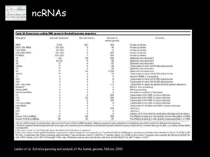 nc. RNAs Lander et al. Initial sequencing and analysis of the human genome, Nature,