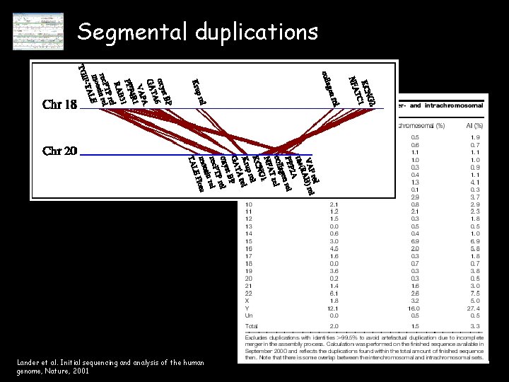 Segmental duplications Lander et al. Initial sequencing and analysis of the human genome, Nature,