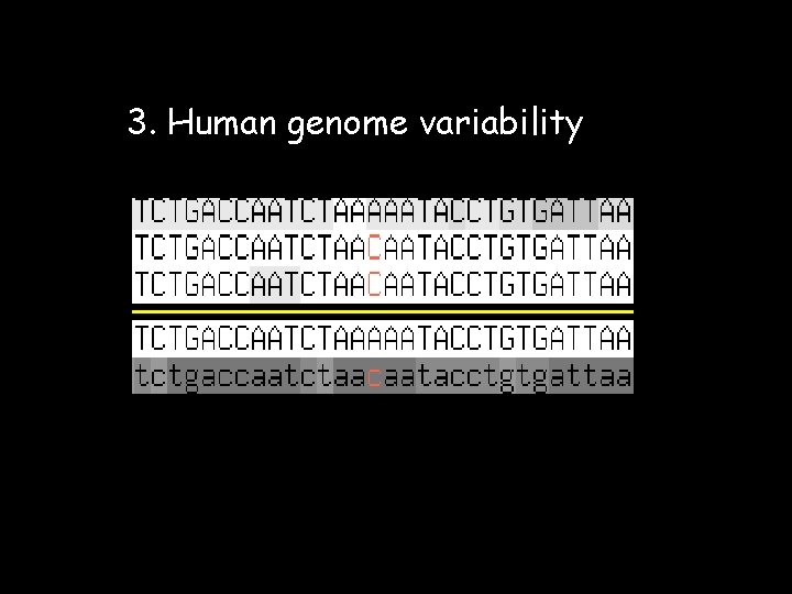 3. Human genome variability 