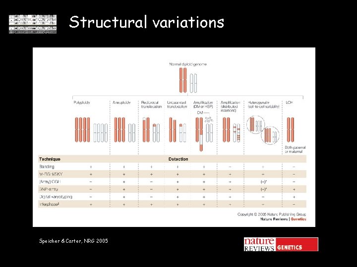 Structural variations Speicher & Carter, NRG 2005 