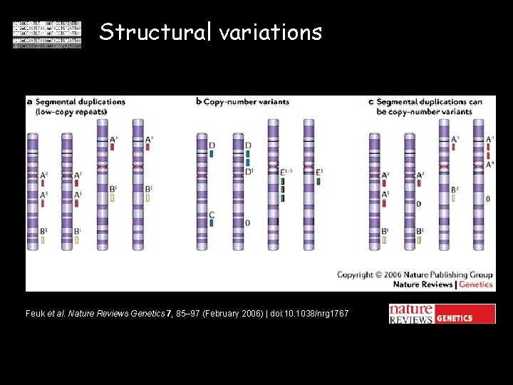 Structural variations Feuk et al. Nature Reviews Genetics 7, 85– 97 (February 2006) |