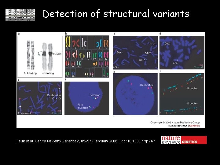 Detection of structural variants Feuk et al. Nature Reviews Genetics 7, 85– 97 (February