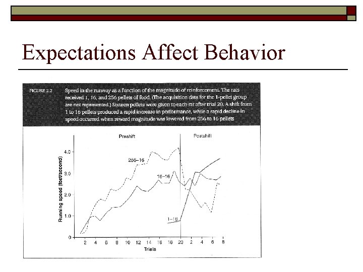 Expectations Affect Behavior 