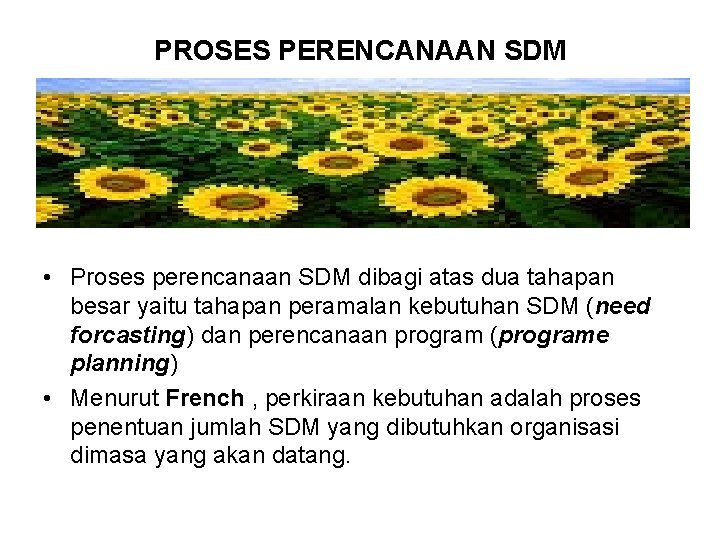 PROSES PERENCANAAN SDM • Proses perencanaan SDM dibagi atas dua tahapan besar yaitu tahapan