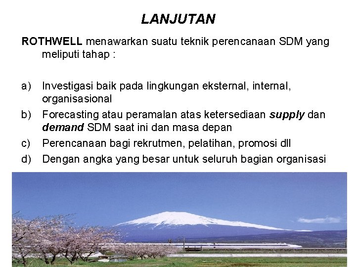 LANJUTAN ROTHWELL menawarkan suatu teknik perencanaan SDM yang meliputi tahap : a) Investigasi baik