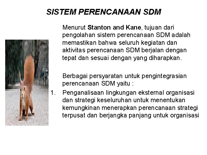 SISTEM PERENCANAAN SDM Menurut Stanton and Kane, tujuan dari pengolahan sistem perencanaan SDM adalah