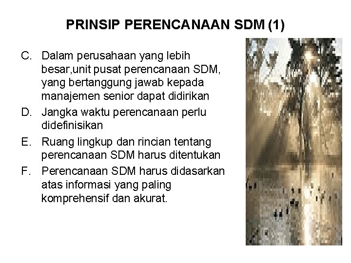 PRINSIP PERENCANAAN SDM (1) C. Dalam perusahaan yang lebih besar, unit pusat perencanaan SDM,