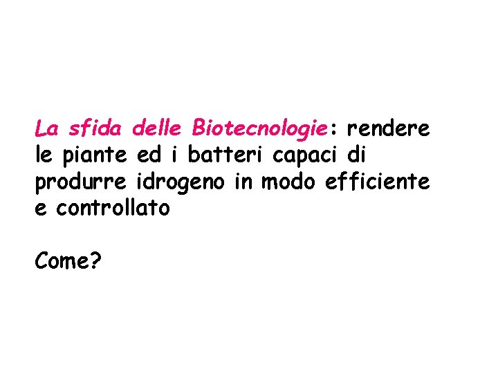 La sfida delle Biotecnologie: rendere le piante ed i batteri capaci di produrre idrogeno