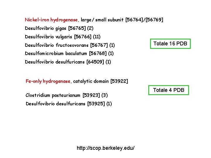Nickel-iron hydrogenase, large/ small subunit [56764]/[56769] Desulfovibrio gigas [56765] (2) Desulfovibrio vulgaris [56766] (11)
