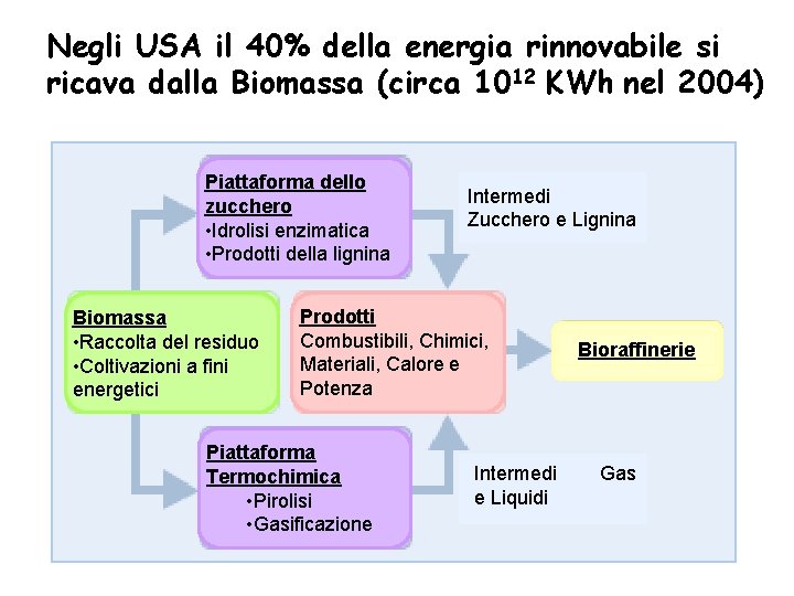 Negli USA il 40% della energia rinnovabile si ricava dalla Biomassa (circa 1012 KWh