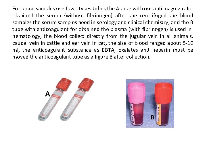 For blood samples used two types tubes the A tube with out anticoagulant for