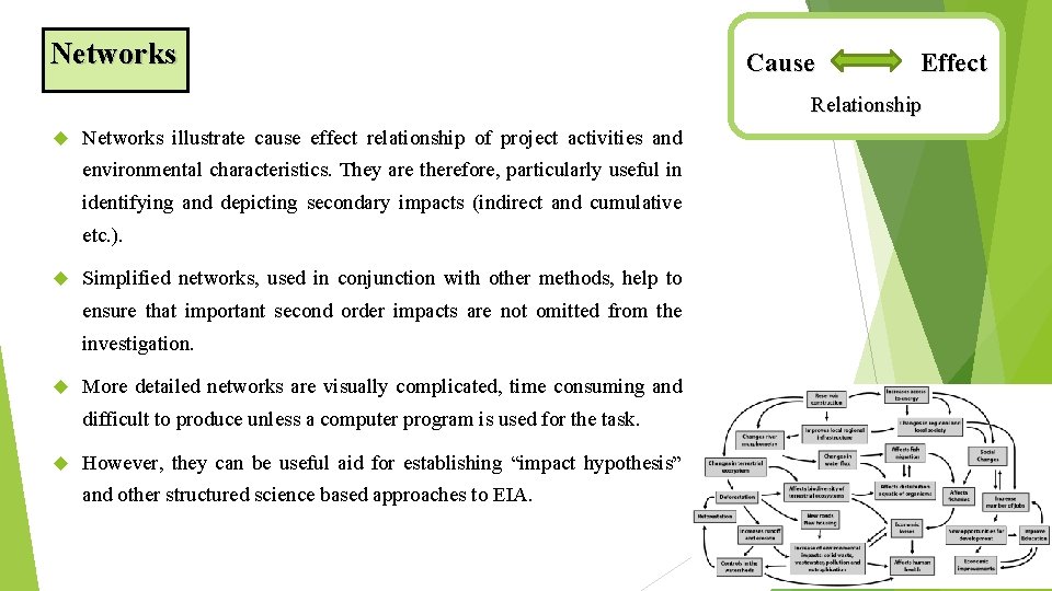 Networks Cause Effect Relationship Networks illustrate cause effect relationship of project activities and environmental