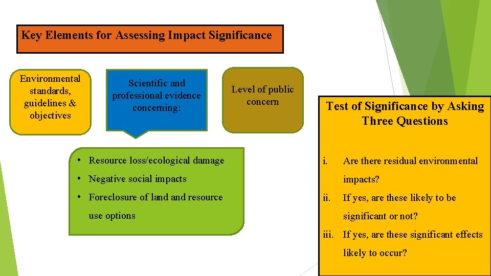 Key Elements for Assessing Impact Significance Environmental standards, guidelines & objectives Scientific and professional