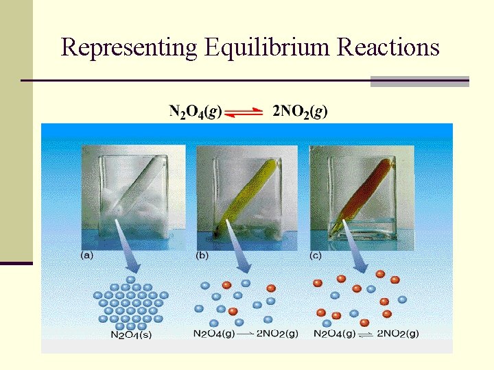 Representing Equilibrium Reactions  Representing Equilibrium Reactions