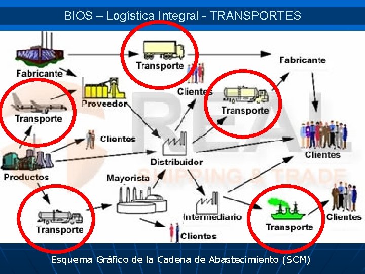 BIOS – Logística Integral - TRANSPORTES Esquema Gráfico de la Cadena de Abastecimiento (SCM)