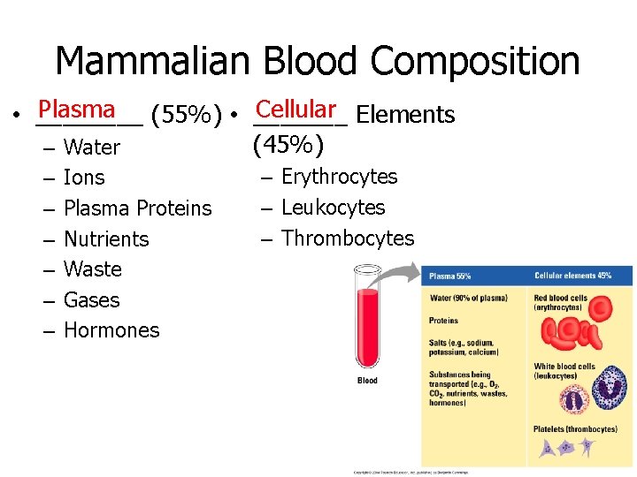 Mammalian Blood Composition Plasma (55%) • _______ Cellular Elements • ____ (45%) – Water