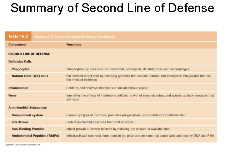 Summary of Second Line of Defense 