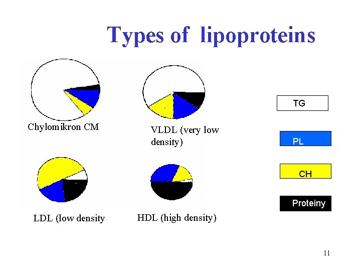 Types of lipoproteins TG Chylomikron CM VLDL (very low density) PL CH Proteiny LDL