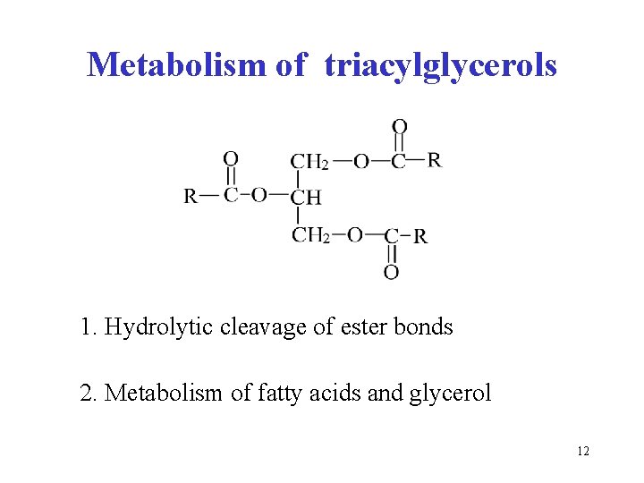 Metabolism of triacylglycerols 1. Hydrolytic cleavage of ester bonds 2. Metabolism of fatty acids