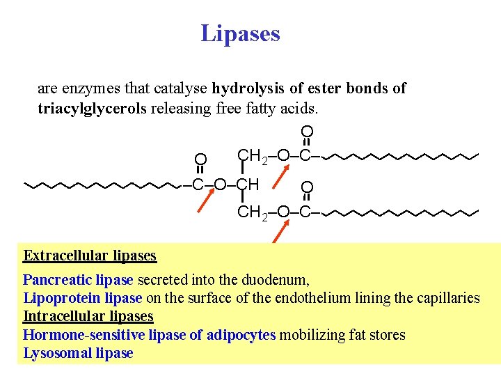 Lipases are enzymes that catalyse hydrolysis of ester bonds of triacylglycerols releasing free fatty