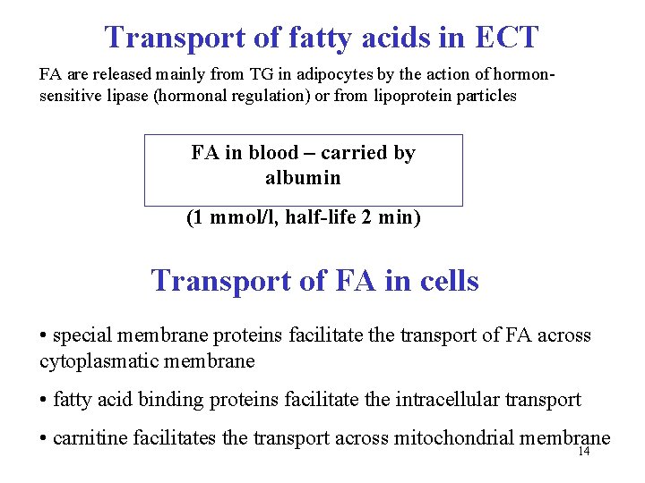 Transport of fatty acids in ECT FA are released mainly from TG in adipocytes