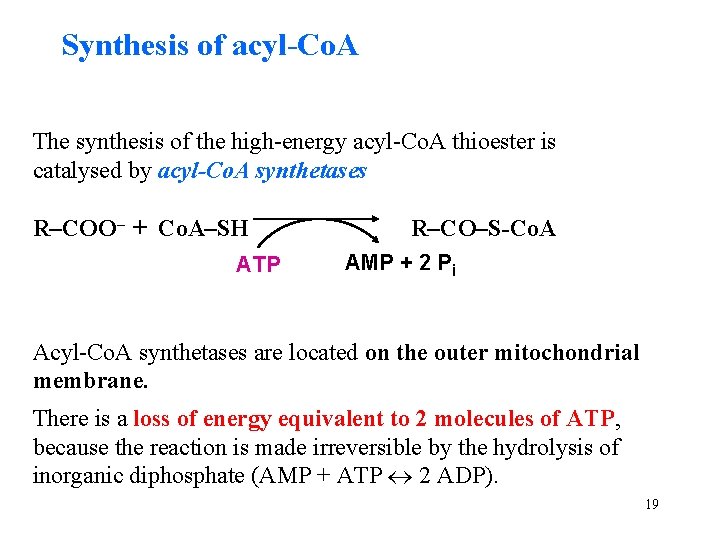 Synthesis of acyl-Co. A The synthesis of the high-energy acyl-Co. A thioester is catalysed