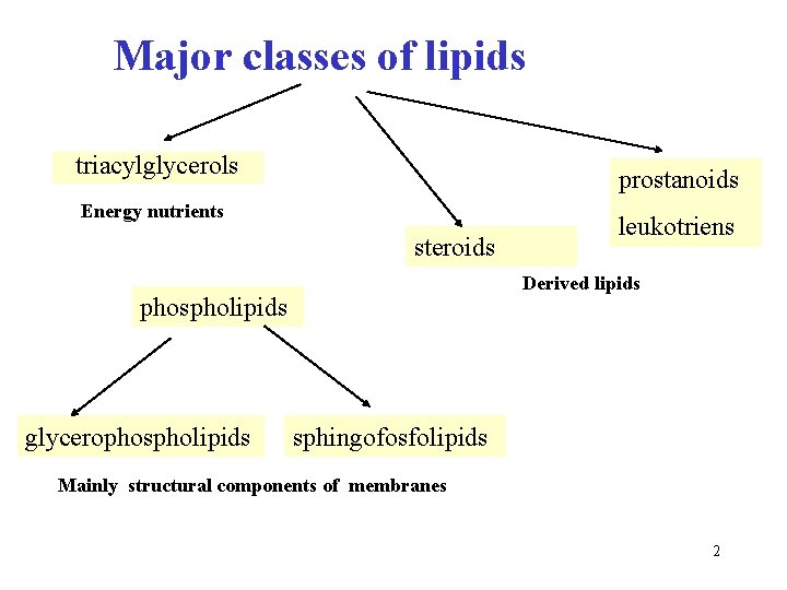 Major classes of lipids triacylglycerols prostanoids Energy nutrients steroids Derived lipids phospholipids glycerophospholipids leukotriens