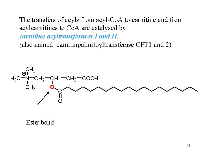 The transfers of acyls from acyl-Co. A to carnitine and from acylcarnitines to Co.