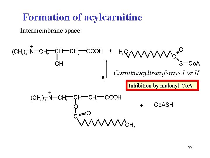 Formation of acylcarnitine Intermembrane space + (CH 3)3 N CH 2 CH CH 2