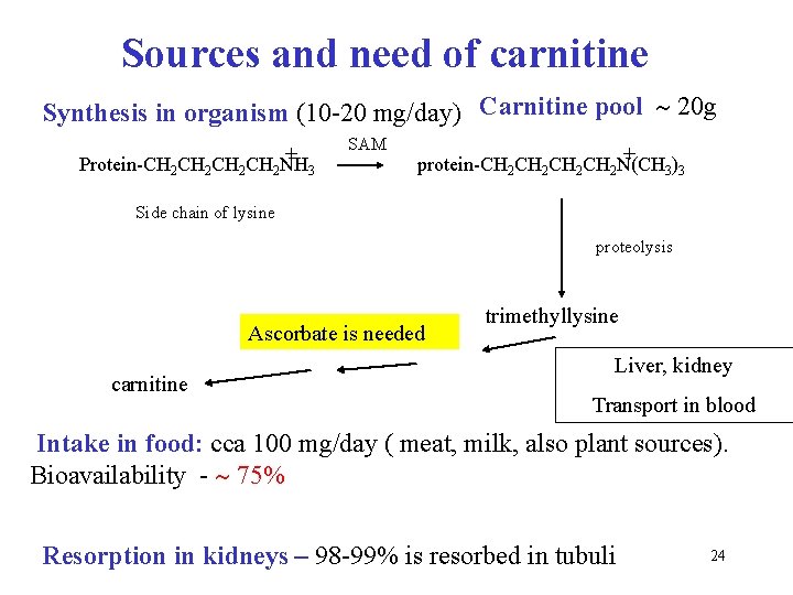 Sources and need of carnitine Synthesis in organism (10 -20 mg/day) Carnitine pool 20