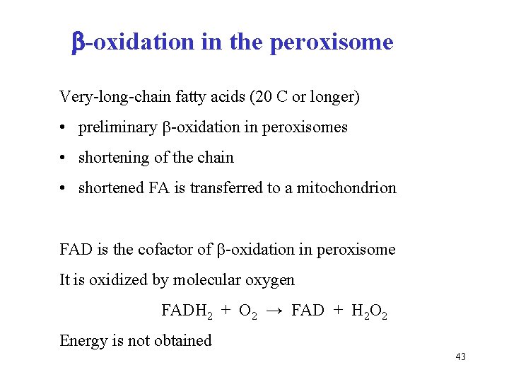  -oxidation in the peroxisome Very-long-chain fatty acids (20 C or longer) • preliminary