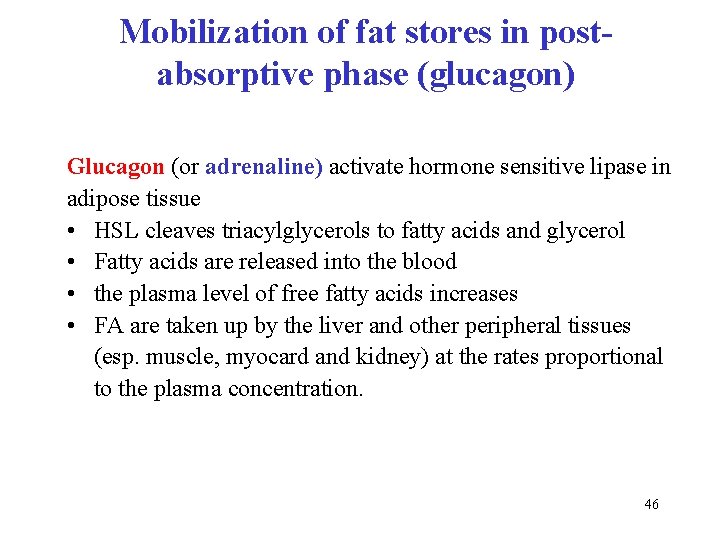 Mobilization of fat stores in postabsorptive phase (glucagon) Glucagon (or adrenaline) activate hormone sensitive