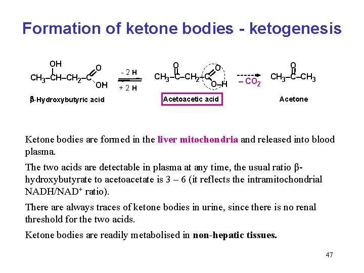 Formation of ketone bodies - ketogenesis OH CH 3–CH–CH 2–C O OH -Hydroxybutyric acid