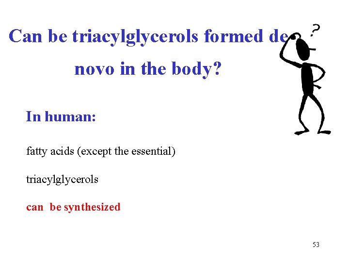 Can be triacylglycerols formed de novo in the body? In human: fatty acids (except