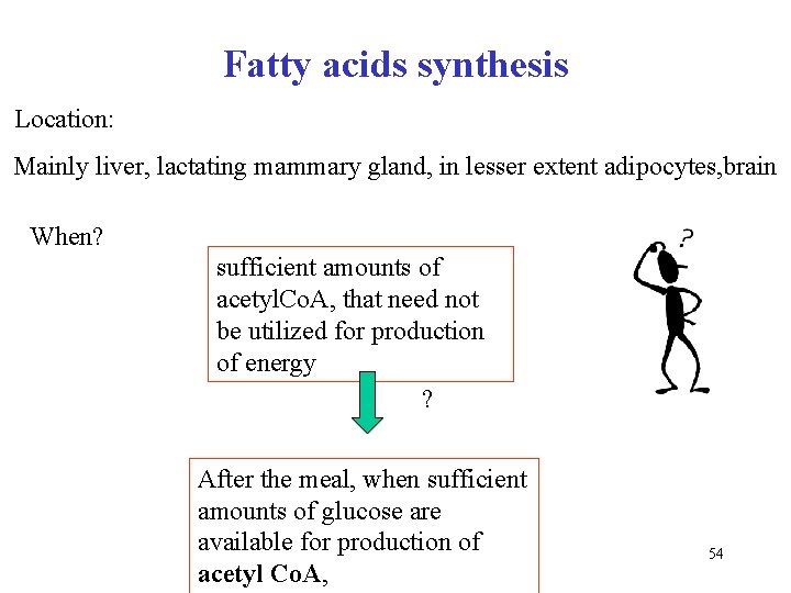 Fatty acids synthesis Location: Mainly liver, lactating mammary gland, in lesser extent adipocytes, brain