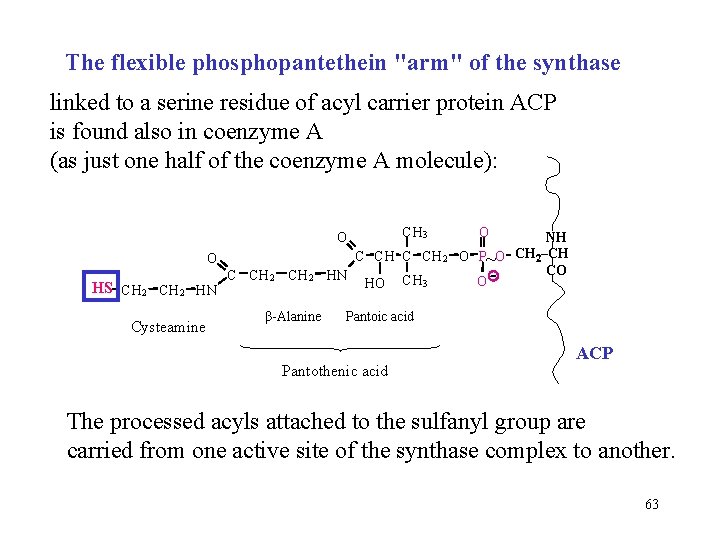 The flexible phosphopantethein "arm" of the synthase linked to a serine residue of acyl