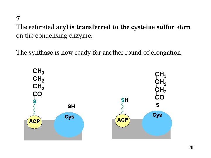 7 The saturated acyl is transferred to the cysteine sulfur atom on the condensing