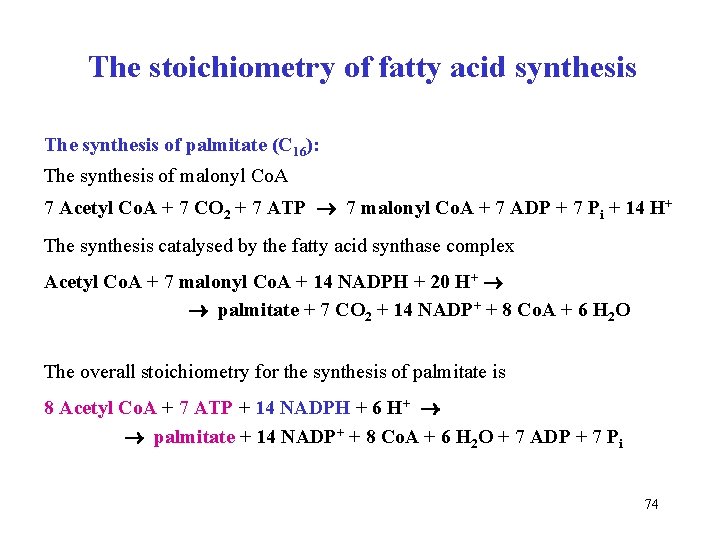 The stoichiometry of fatty acid synthesis The synthesis of palmitate (C 16): The synthesis