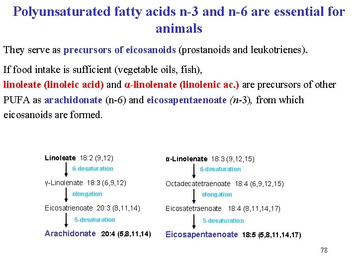 Polyunsaturated fatty acids n-3 and n-6 are essential for animals They serve as precursors