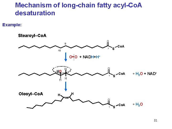 Mechanism of long-chain fatty acyl-Co. A desaturation Example: Stearoyl–Co. A O 9 1 10